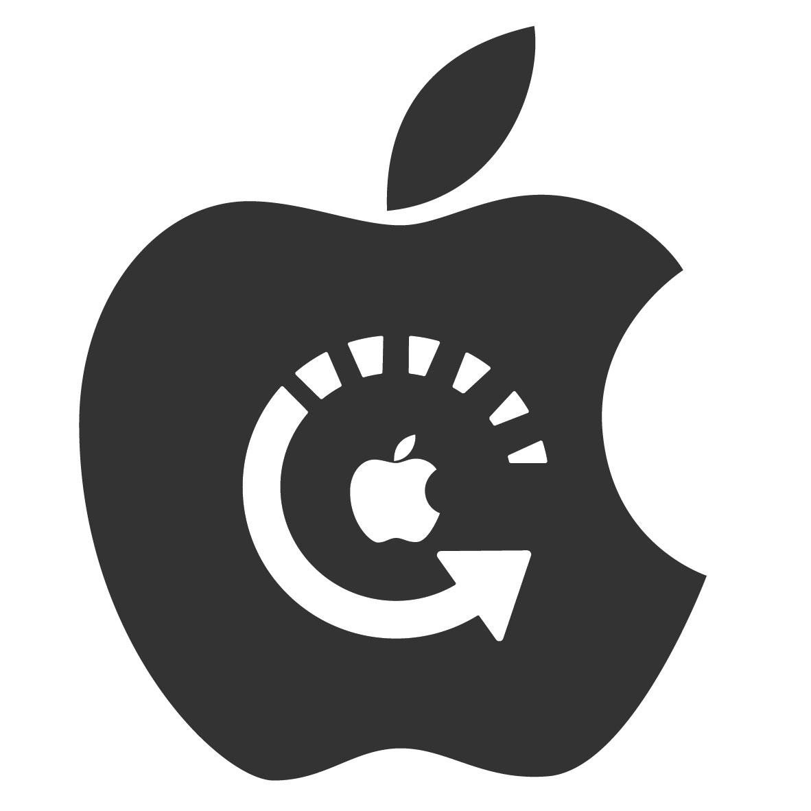 iPhone 17 Stuck on Apple Logo Repair
